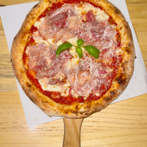 Carnivora